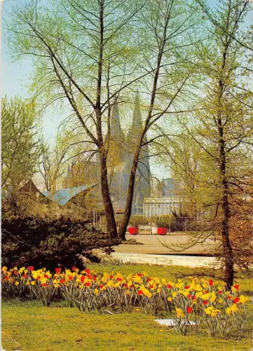 BT11760 koln am rhein rheinpark Germany