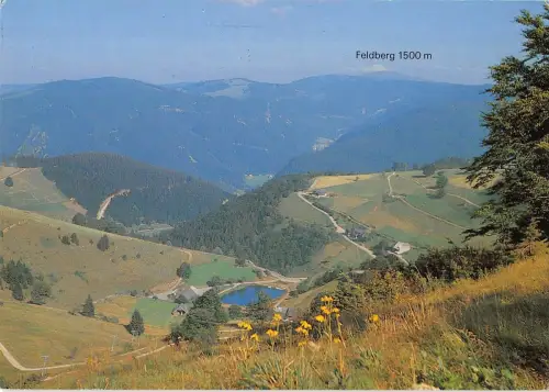 BT11658 Schaunisland blick uber hofsgrund und st wilhemer tal zum Germany