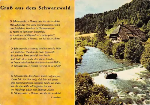 BT14218 Schwarzwald Landschaft Deutschland