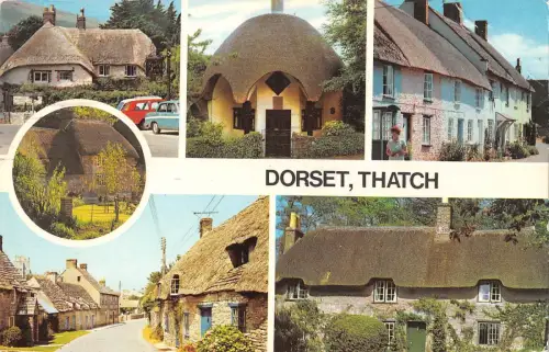 B101101 dorset tatch uk 14x9cm