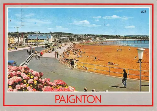 BR89806 paignton uk