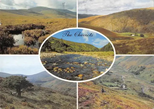 BR90597 the cheviots dunsdale happy valley uk