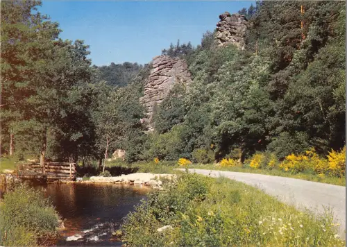 BR51798 Les rochers route de st brisson Morvan Frankreich