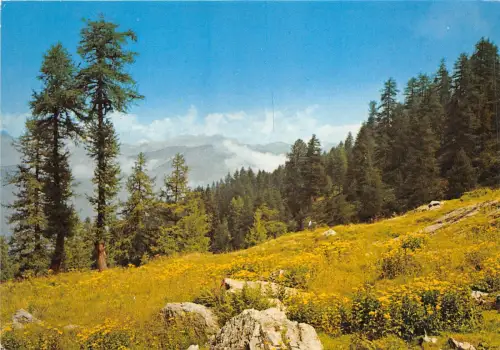 BR20987 Frankreich Landschaft Frankreich