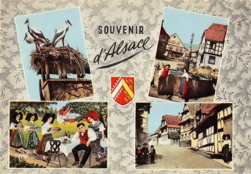 BR52767 L Elsass Storch Frankreich