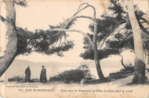B104947 France Ile St-Honorat Vue sur la Napoule et pins Tordus par le Vent