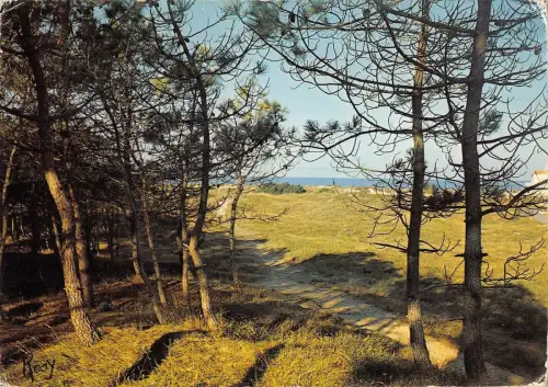 BT6727 Notre dame de Monts vue sur la mer prise du bois de pins Frankreich