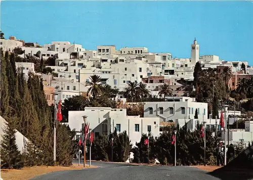 B91140 sidi bou said vue panoramique tunisia