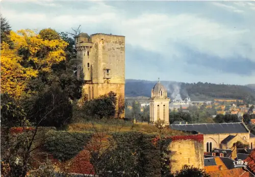 BR30548 Montignac sur vezere vue generale France