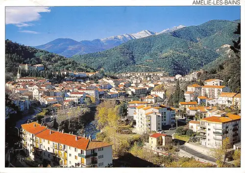 BF19 amelie les bains vue generale France