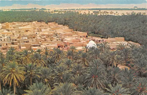 BR25480 Tozeur Vue generale 2 scans tunesia