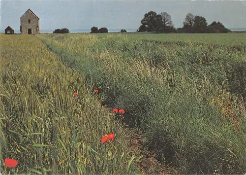 BR89964 st peter s on the wall uk