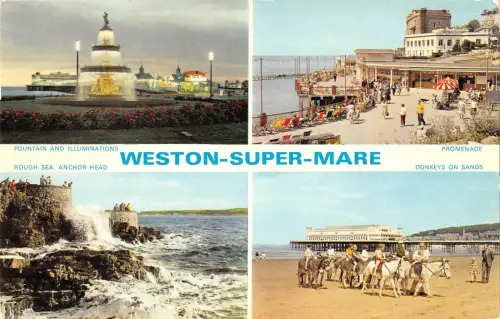 B103798 weston super mare promenade donkeys on sands uk