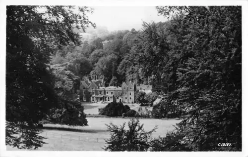 BR67563 Feldstudien Rat Surrey Headley Valley Echtfoto UK