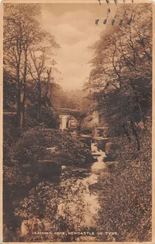 BR81048 jesmond dene newcastle on tyne uk