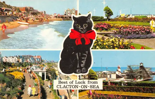 uk7724 best luck from clacton on sea uk black cat lucky cat