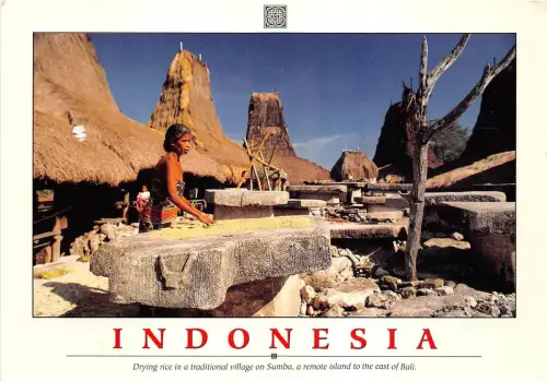 BG21491 Indonesien Trockenreis im Dorf auf Sumba Bali Arten Folklore Frau