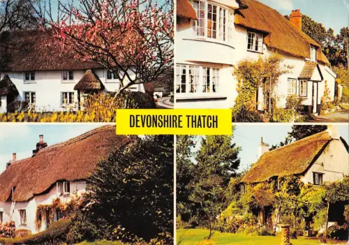 BR92366 a study in devonshire tatch uk