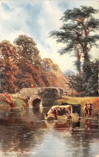 auk41395 on the arun surrey uk