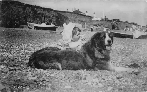 Lot162 on guard uk dog with a child st bernard silverette