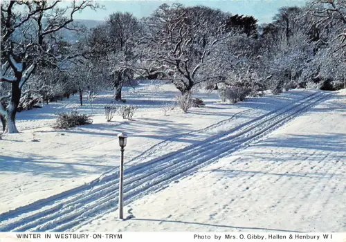 uk46707 winter in westbury on tym uk