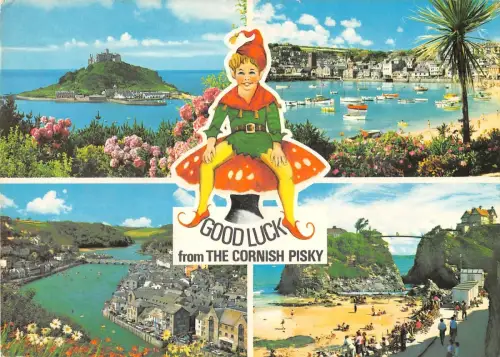 BR90121 the cornish pisky uk