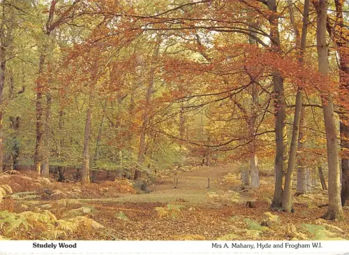 BR89777 studley wood uk