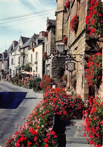 BF2331 rochefort en terre morbihan france