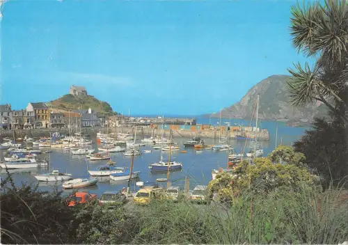 BR92139 the harbour from st james park ilfracombe uk