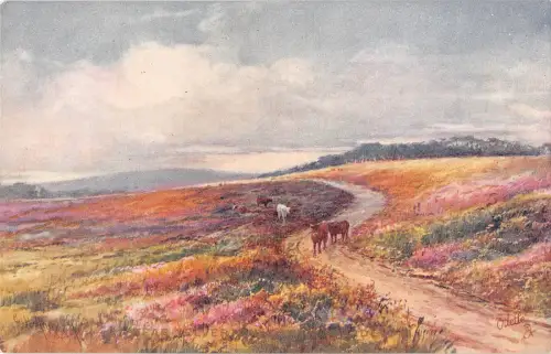 uk16399 happy new year landschaft uk