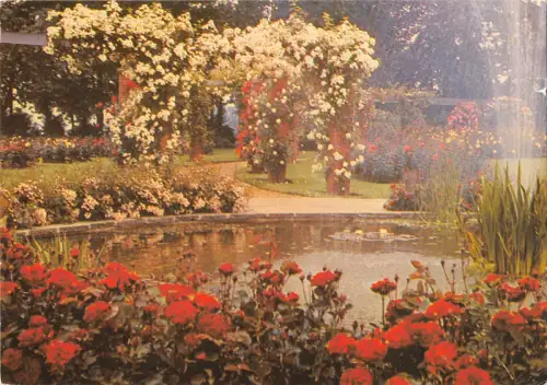 uk34503 Möwe Seagul auf Säule Gemälde Postkarte