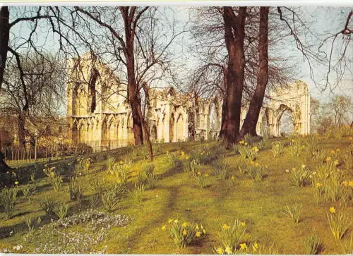 B100463 st mary s abbey york uk