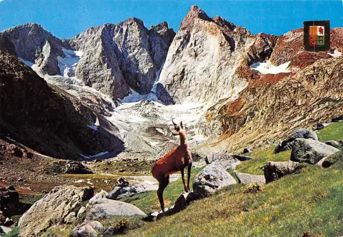 BF56 Pyrenäen Ziegenchavre Frankreich