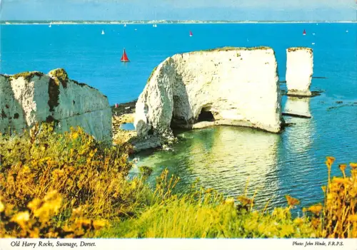 BR83234 old harry rocks swanage dorset uk