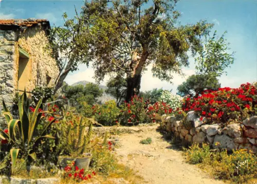 BR50171 la cote d azur miracle de la nature paysage provencal Frankreich