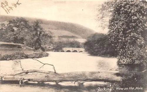 br109076 dorking view on the mole uk