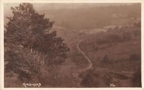 uk15926 Hinterkopf Echtfoto UK