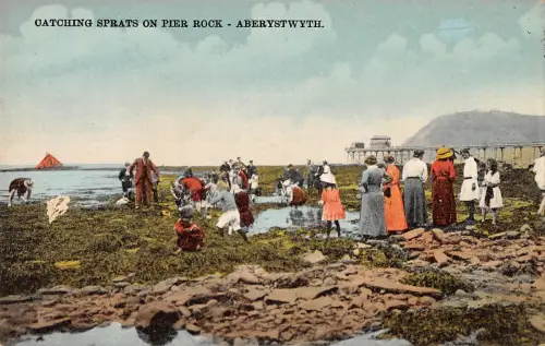 uk13353 catchind sprats on pier rock aberystwyth wales uk