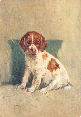 Lot235 Gemälde Postkarte Hund der walisische Springer Spaniel UK
