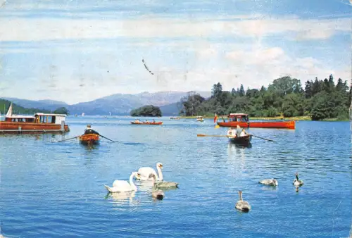 BR90554 Lake Windermere Westmorland Cygne Swan UK