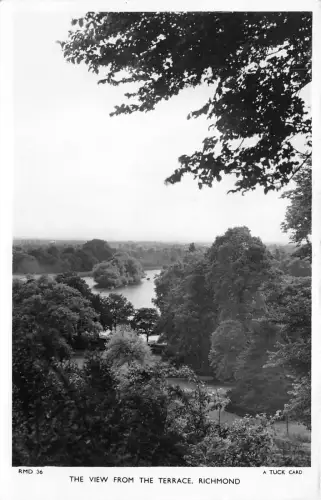 BR60430 der Blick von der Terrasse Richmond Echtfoto UK