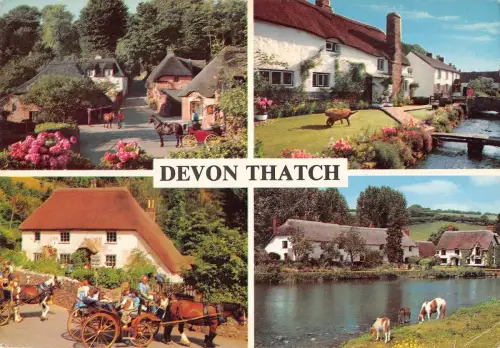 BR83086 devon tatch uk