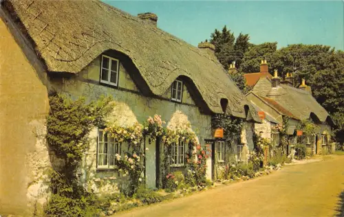 B104120 alte reetgedeckte Cottages auf Brighstone Isle of Wight UK