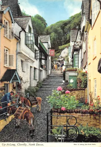 BR90289 up a long clovelly north devon donkey anne uk