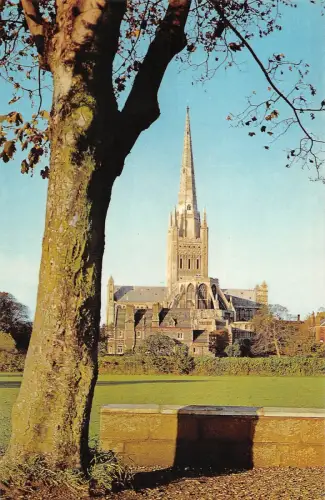 B104183 norwich cathedral from the east uk