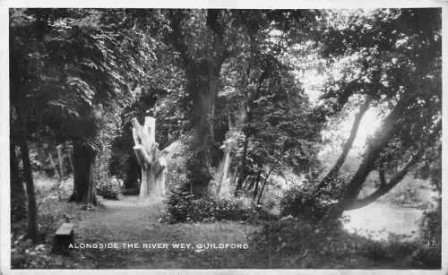 BR60273 entlang des Flusses Wey Guildford Echtfoto UK