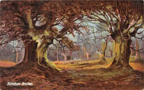 uk16871 burnham beach uk