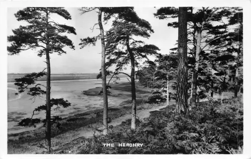 br108055 the heronry uk real photo