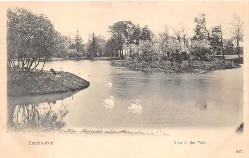 BR59579 Ansicht im Park Cygne Swan Eastbourne UK