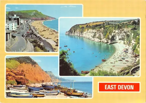 B100177 east devon uk